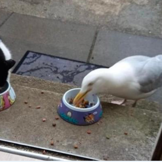 Schermata 2022-05-20 alle 16.49.19
