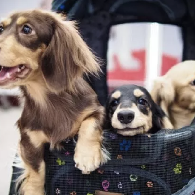Screenshot 2026-09-30 alle 17.40.48